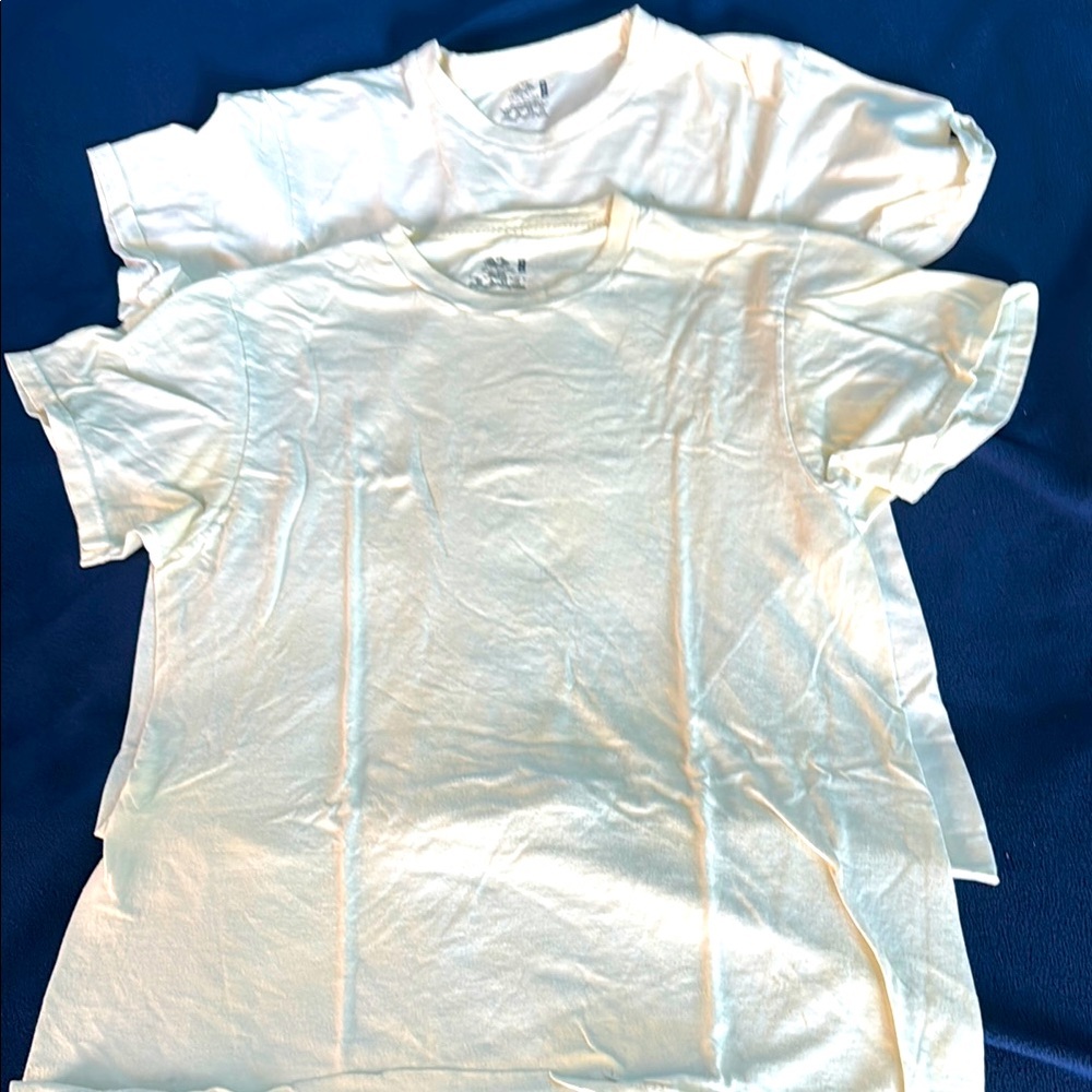 Two fruit of the loom T-shirts